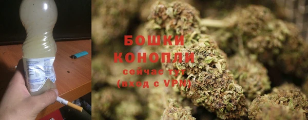гашик Беломорск