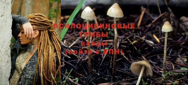 гашик Беломорск