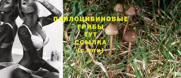 амф Белоозёрский